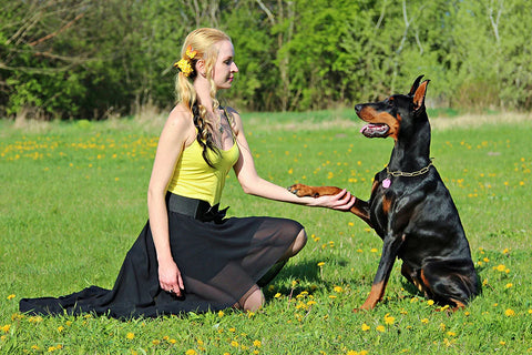 IPSUM COMO SU TEXTO POR DEFECTO