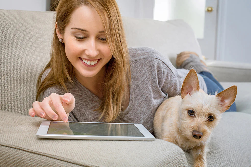 DAR POR RESULTADO MUCHOS SITIOS WEB QUE USAN