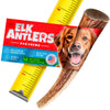 Small Whole Antler